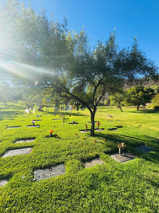 When the Light Breaks You Open: My 6-Year Journey Through Mania, Awakening, Becoming & Unbecoming.